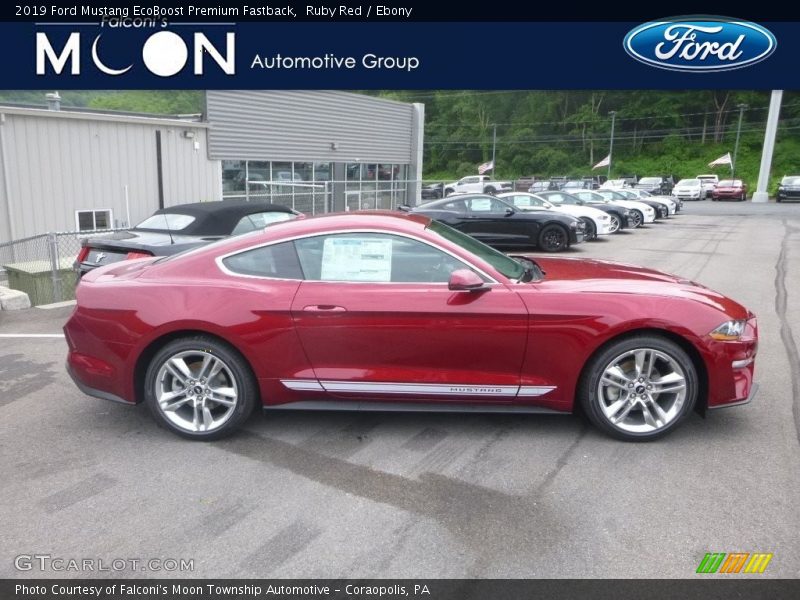 Ruby Red / Ebony 2019 Ford Mustang EcoBoost Premium Fastback