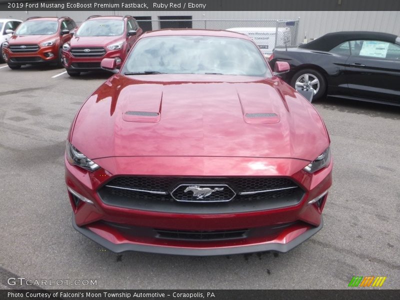 Ruby Red / Ebony 2019 Ford Mustang EcoBoost Premium Fastback