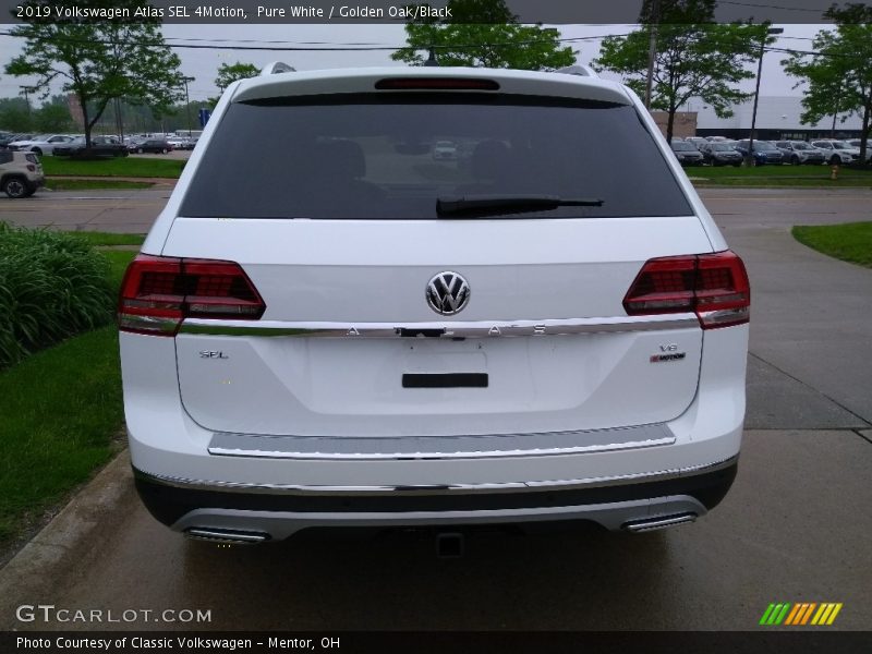 Pure White / Golden Oak/Black 2019 Volkswagen Atlas SEL 4Motion