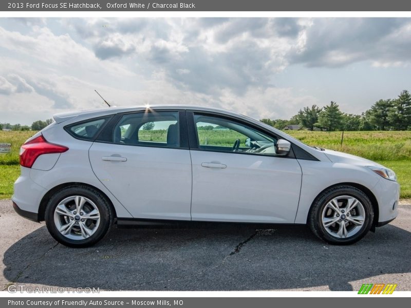 Oxford White / Charcoal Black 2013 Ford Focus SE Hatchback