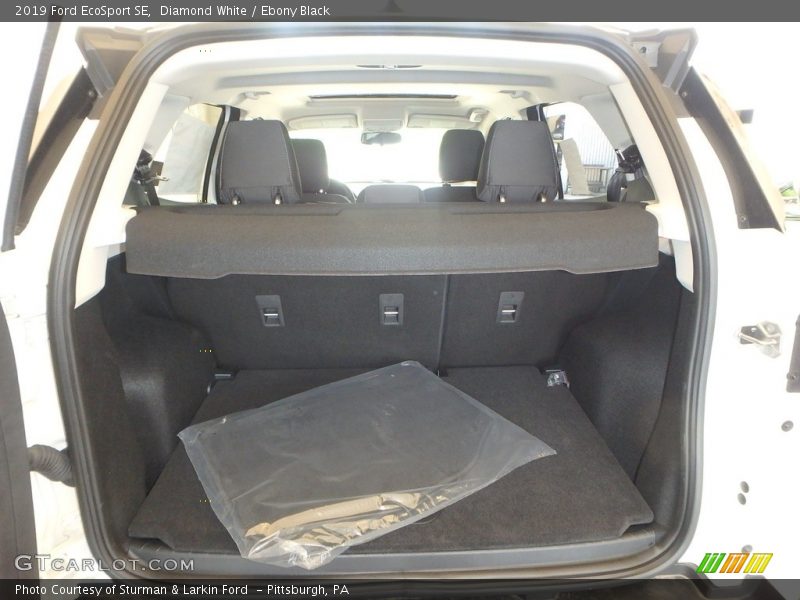 Diamond White / Ebony Black 2019 Ford EcoSport SE