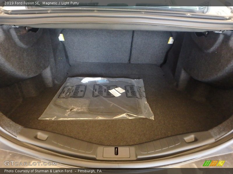 Magnetic / Light Putty 2019 Ford Fusion SE