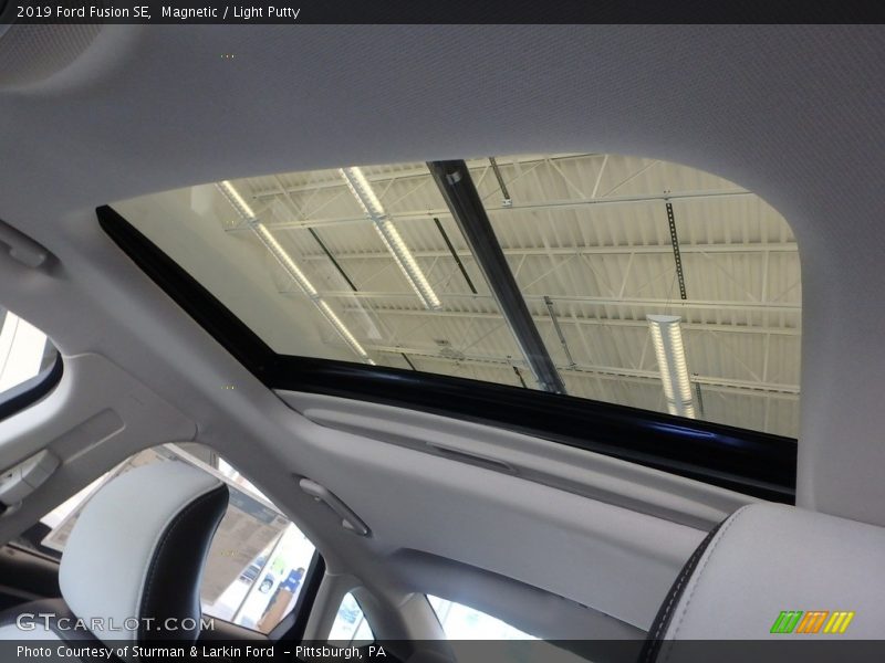Magnetic / Light Putty 2019 Ford Fusion SE