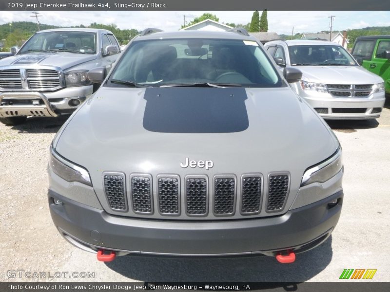 Sting-Gray / Black 2019 Jeep Cherokee Trailhawk 4x4