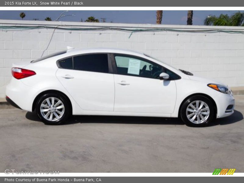 Snow White Pearl / Black 2015 Kia Forte LX
