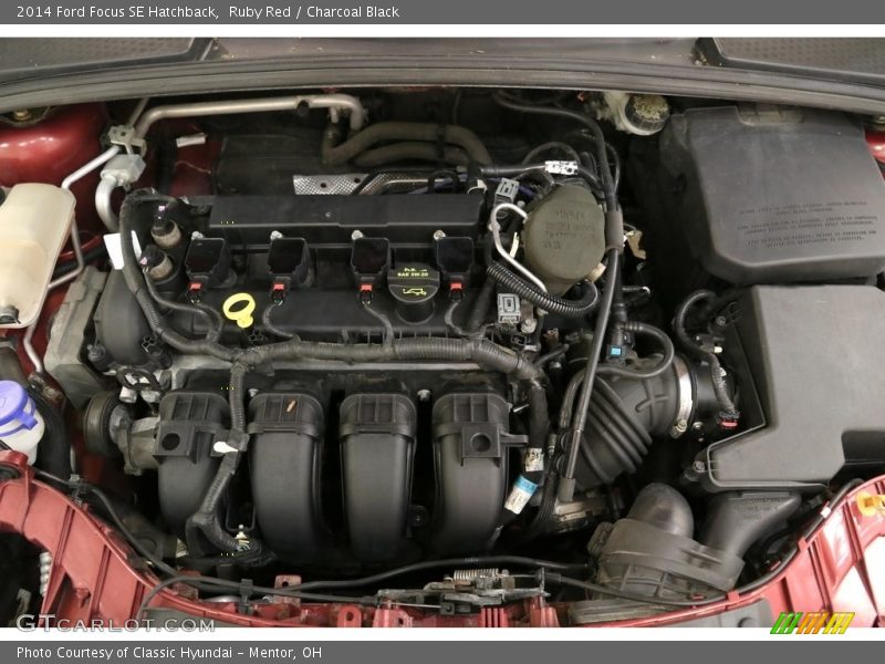 Ruby Red / Charcoal Black 2014 Ford Focus SE Hatchback