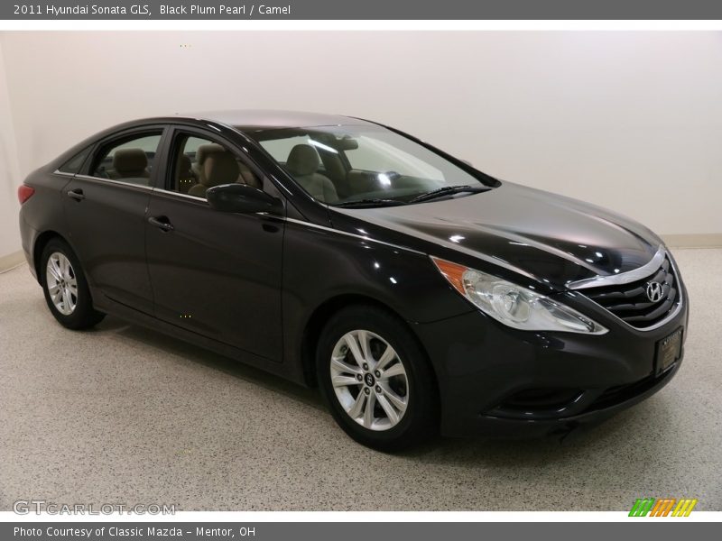 Black Plum Pearl / Camel 2011 Hyundai Sonata GLS