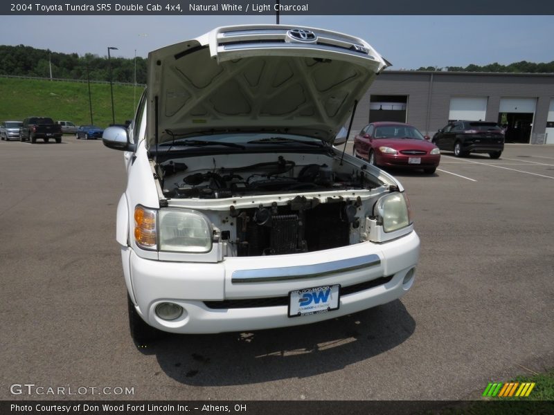Natural White / Light Charcoal 2004 Toyota Tundra SR5 Double Cab 4x4