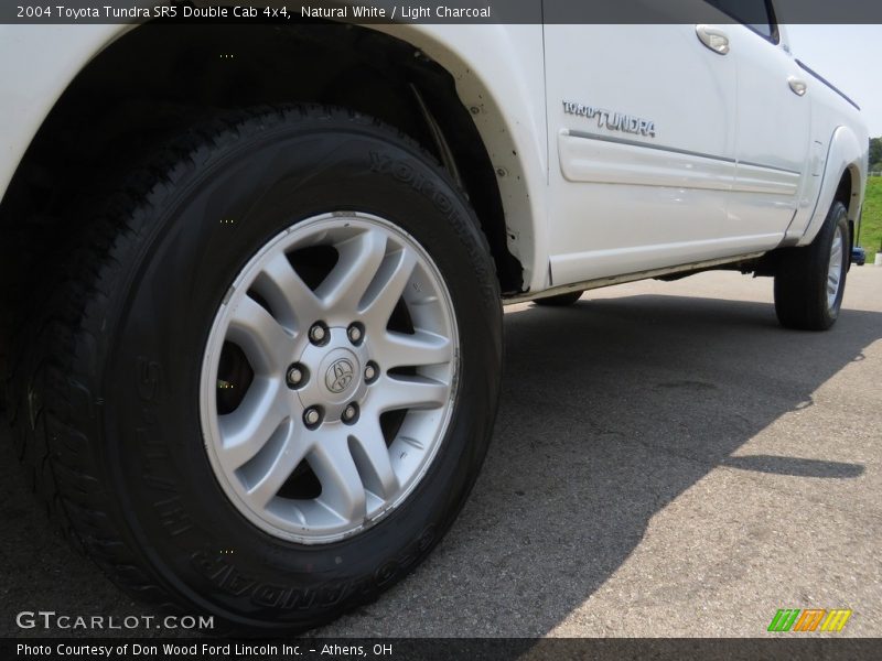 Natural White / Light Charcoal 2004 Toyota Tundra SR5 Double Cab 4x4