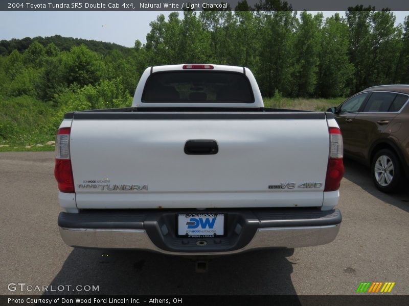 Natural White / Light Charcoal 2004 Toyota Tundra SR5 Double Cab 4x4