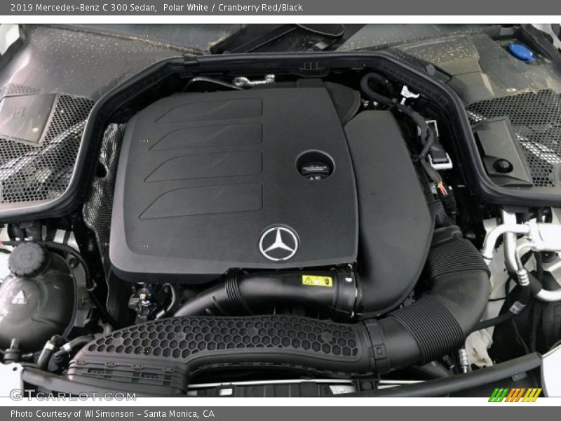Polar White / Cranberry Red/Black 2019 Mercedes-Benz C 300 Sedan
