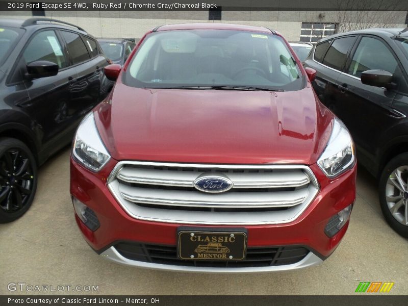 Ruby Red / Chromite Gray/Charcoal Black 2019 Ford Escape SE 4WD