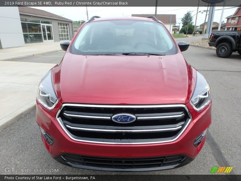 Ruby Red / Chromite Gray/Charcoal Black 2019 Ford Escape SE 4WD