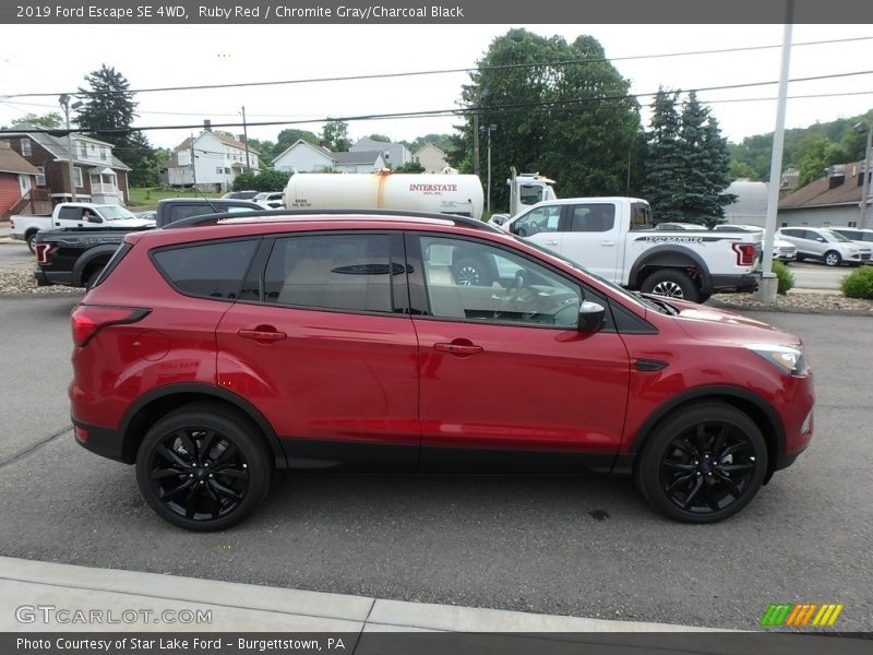 Ruby Red / Chromite Gray/Charcoal Black 2019 Ford Escape SE 4WD