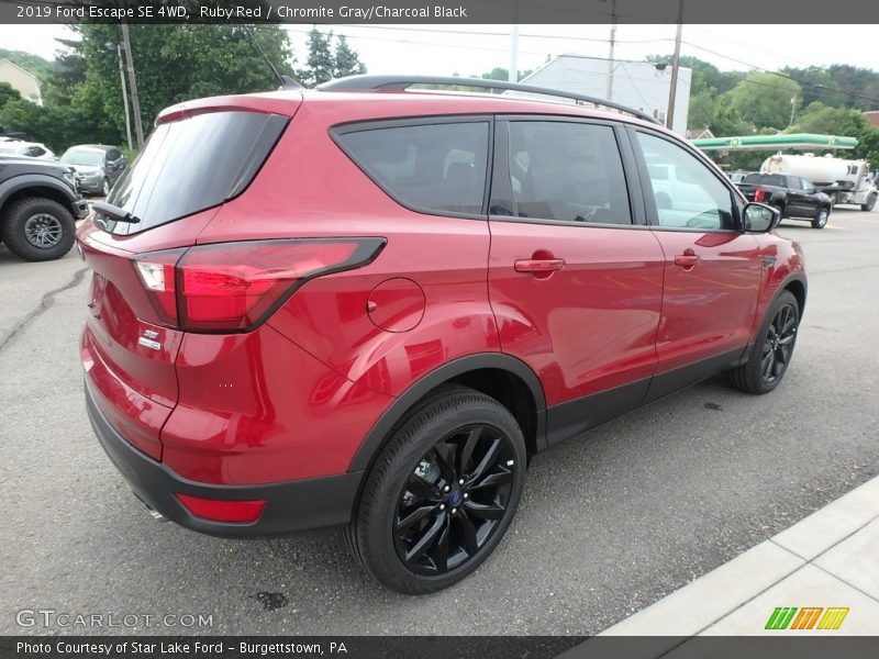 Ruby Red / Chromite Gray/Charcoal Black 2019 Ford Escape SE 4WD