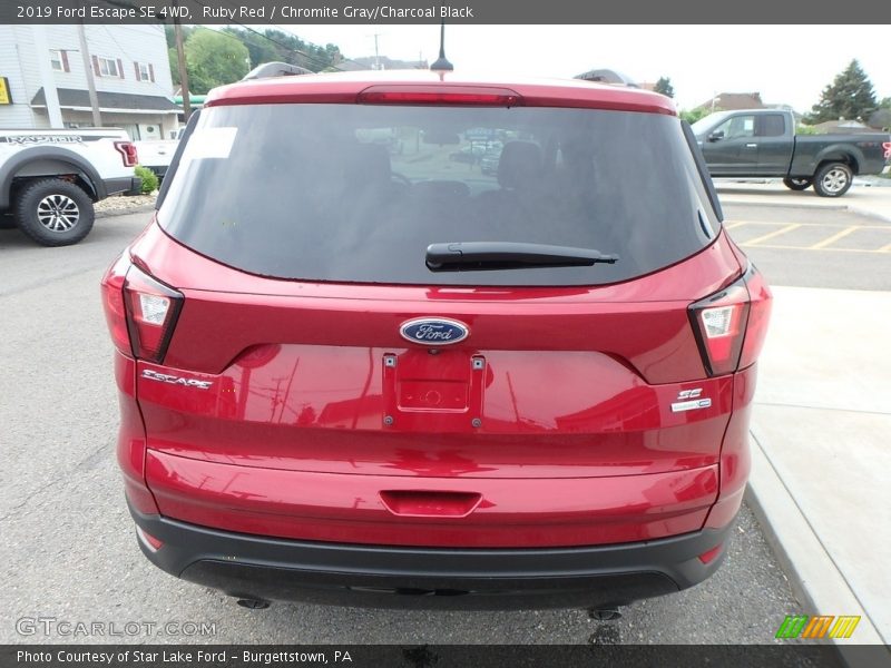 Ruby Red / Chromite Gray/Charcoal Black 2019 Ford Escape SE 4WD