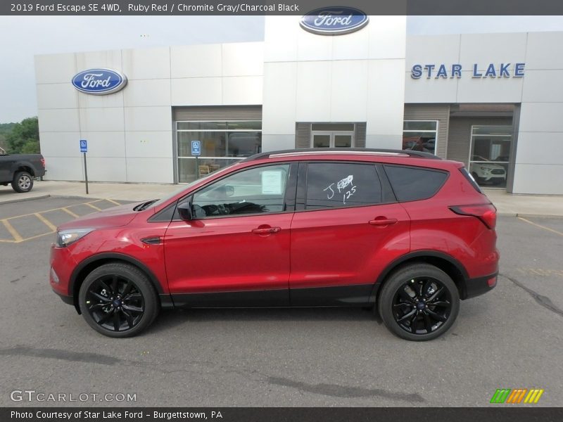 Ruby Red / Chromite Gray/Charcoal Black 2019 Ford Escape SE 4WD
