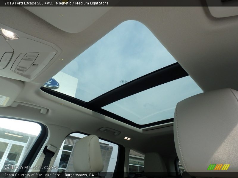 Magnetic / Medium Light Stone 2019 Ford Escape SEL 4WD