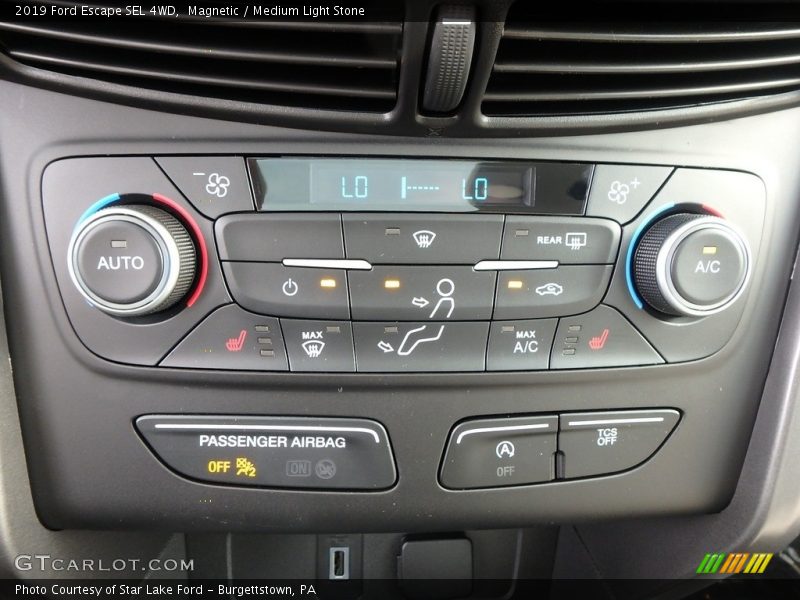 Magnetic / Medium Light Stone 2019 Ford Escape SEL 4WD