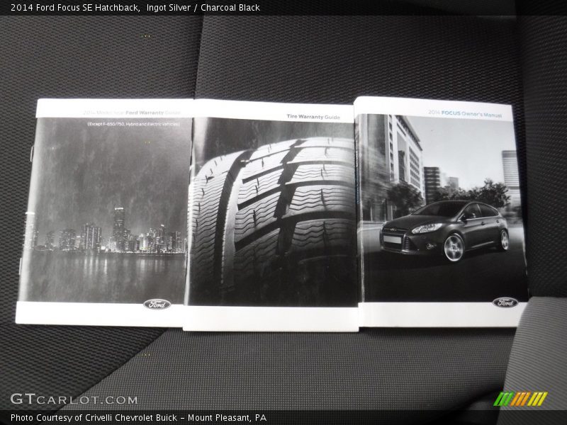 Ingot Silver / Charcoal Black 2014 Ford Focus SE Hatchback
