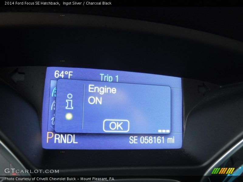 Ingot Silver / Charcoal Black 2014 Ford Focus SE Hatchback