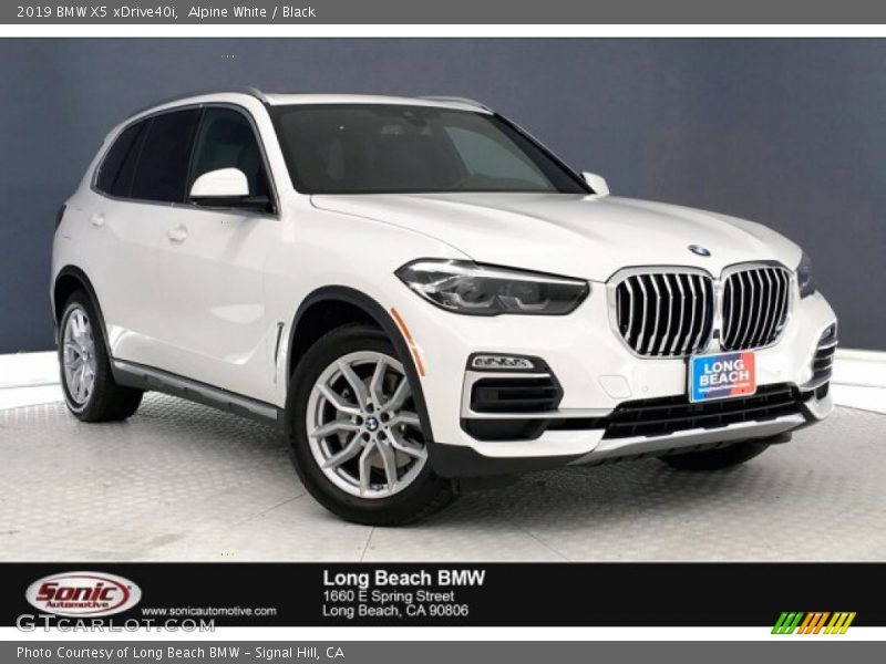 Alpine White / Black 2019 BMW X5 xDrive40i
