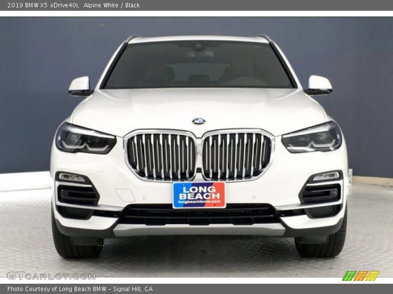 Alpine White / Black 2019 BMW X5 xDrive40i