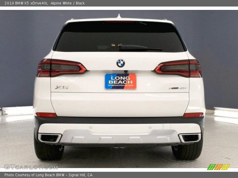 Alpine White / Black 2019 BMW X5 xDrive40i