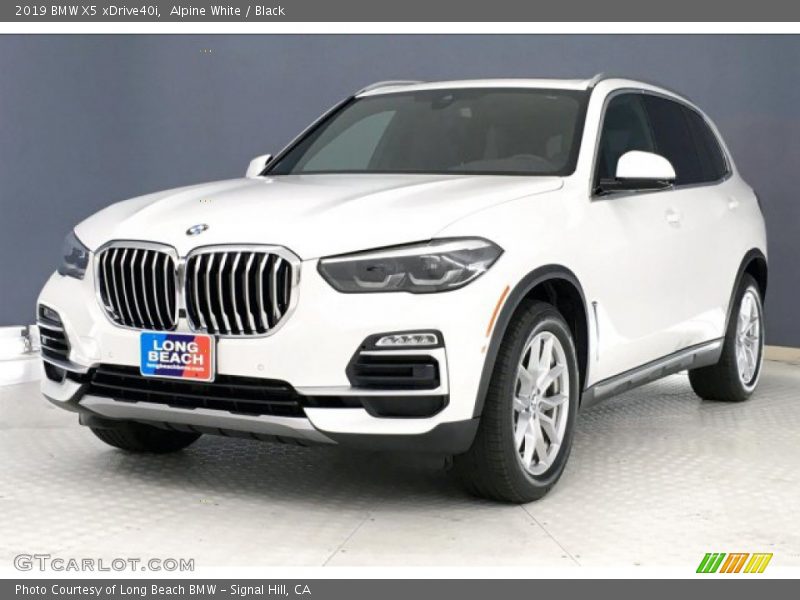 Alpine White / Black 2019 BMW X5 xDrive40i