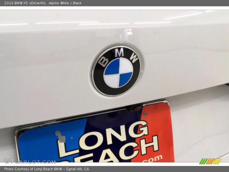 Alpine White / Black 2019 BMW X5 xDrive40i