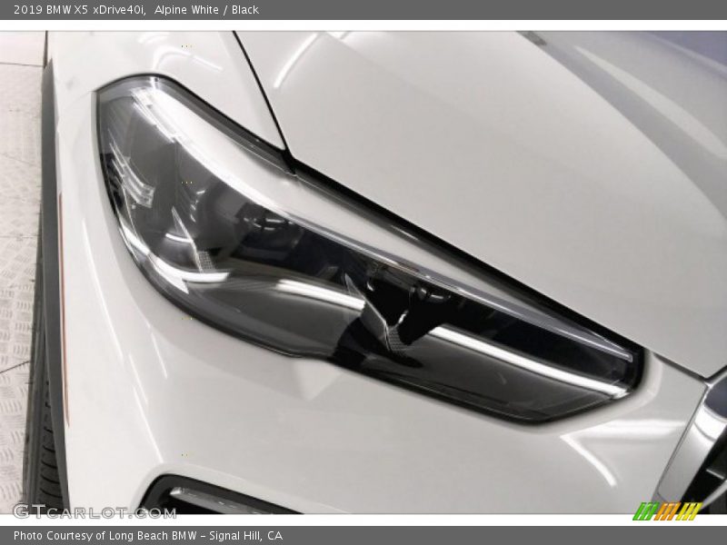Alpine White / Black 2019 BMW X5 xDrive40i
