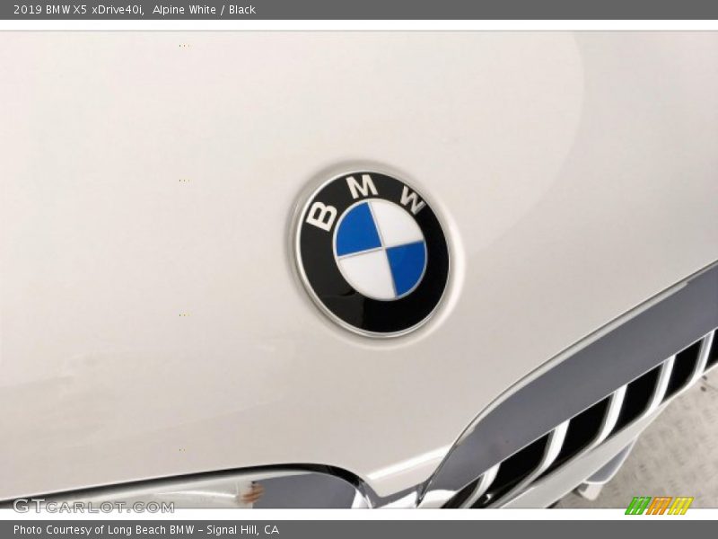 Alpine White / Black 2019 BMW X5 xDrive40i