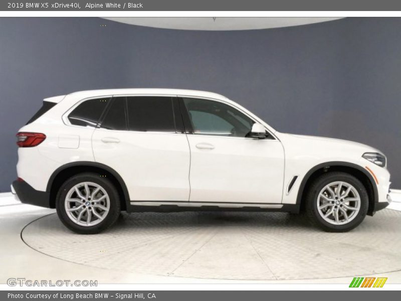 Alpine White / Black 2019 BMW X5 xDrive40i
