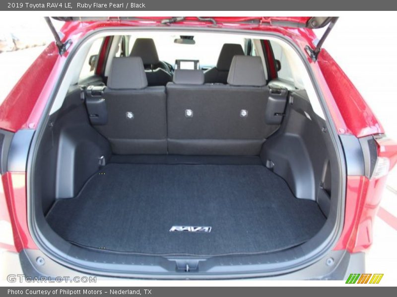 Ruby Flare Pearl / Black 2019 Toyota RAV4 LE