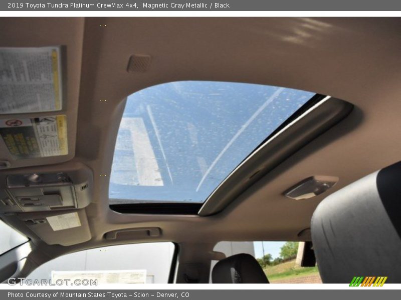 Magnetic Gray Metallic / Black 2019 Toyota Tundra Platinum CrewMax 4x4