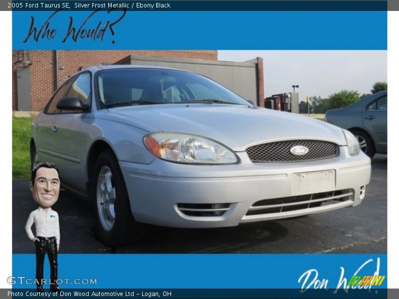 Silver Frost Metallic / Ebony Black 2005 Ford Taurus SE
