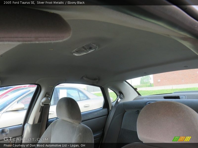 Silver Frost Metallic / Ebony Black 2005 Ford Taurus SE