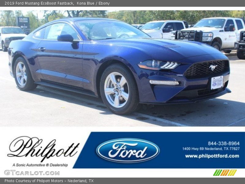 Kona Blue / Ebony 2019 Ford Mustang EcoBoost Fastback
