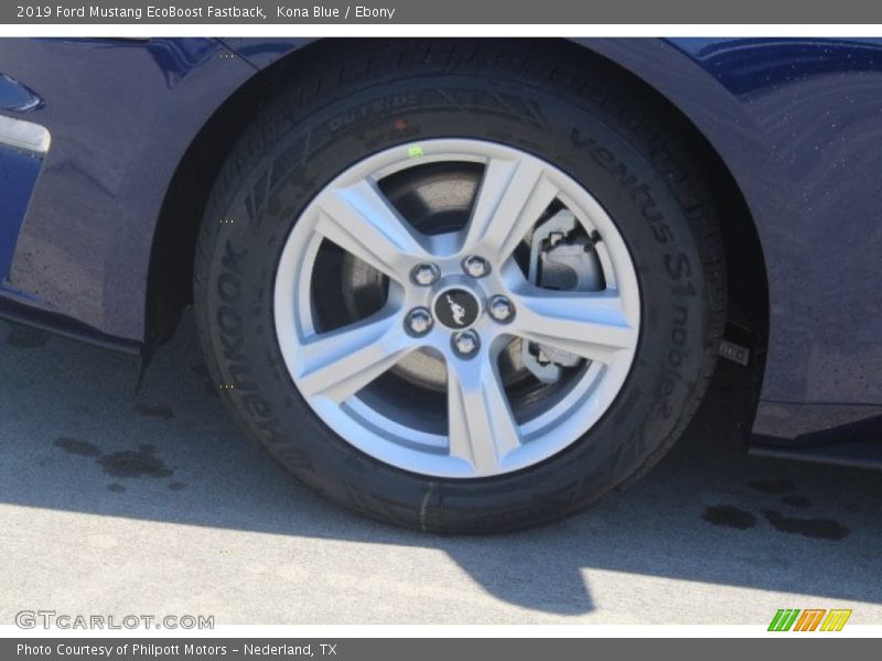 Kona Blue / Ebony 2019 Ford Mustang EcoBoost Fastback