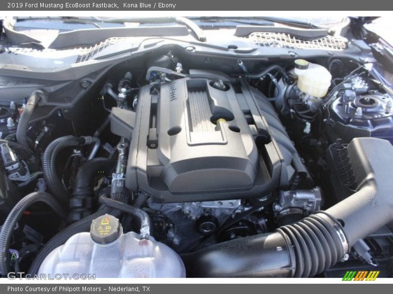 Kona Blue / Ebony 2019 Ford Mustang EcoBoost Fastback