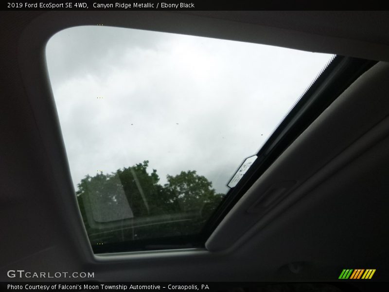 Canyon Ridge Metallic / Ebony Black 2019 Ford EcoSport SE 4WD