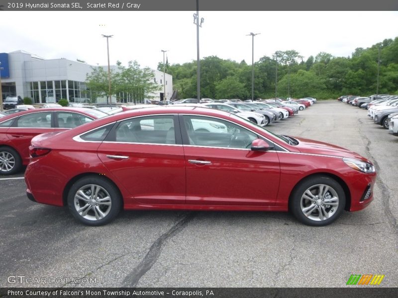 Scarlet Red / Gray 2019 Hyundai Sonata SEL