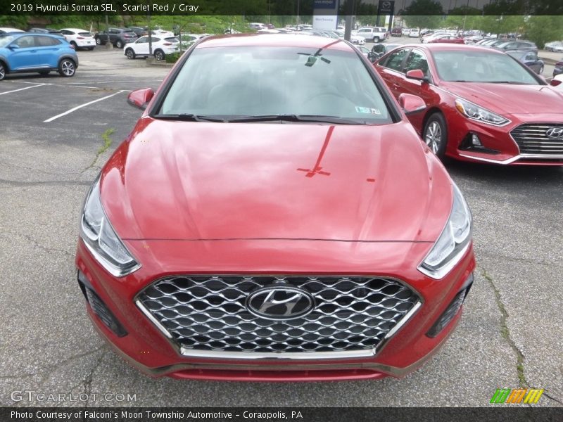 Scarlet Red / Gray 2019 Hyundai Sonata SEL