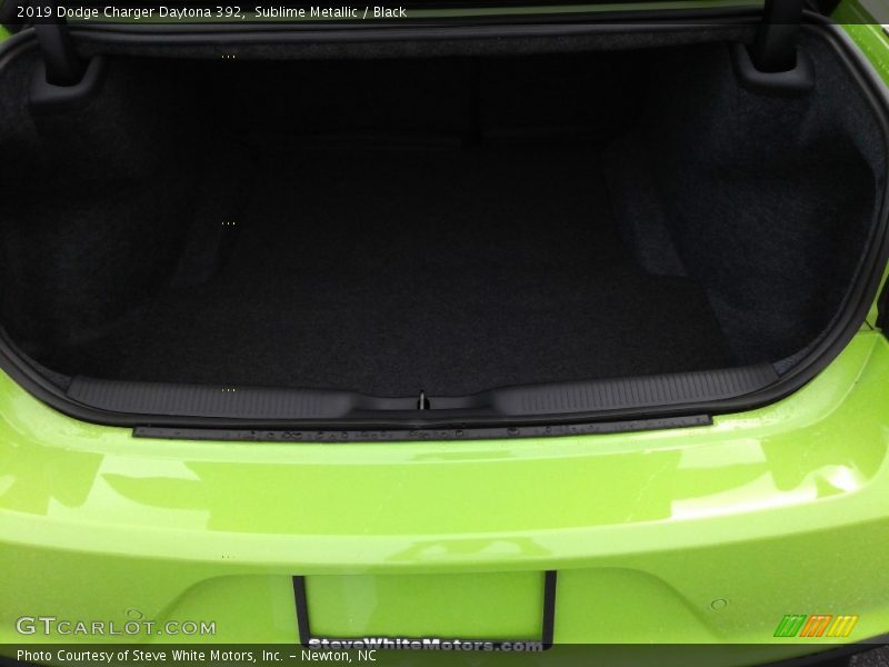 Sublime Metallic / Black 2019 Dodge Charger Daytona 392