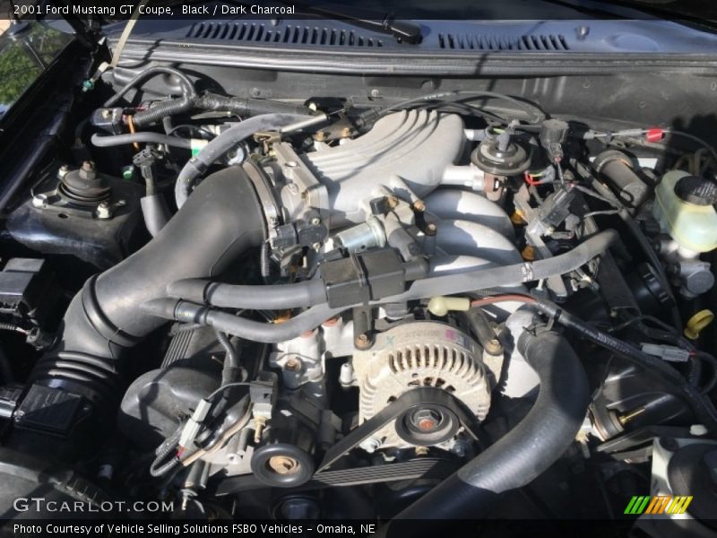Black / Dark Charcoal 2001 Ford Mustang GT Coupe