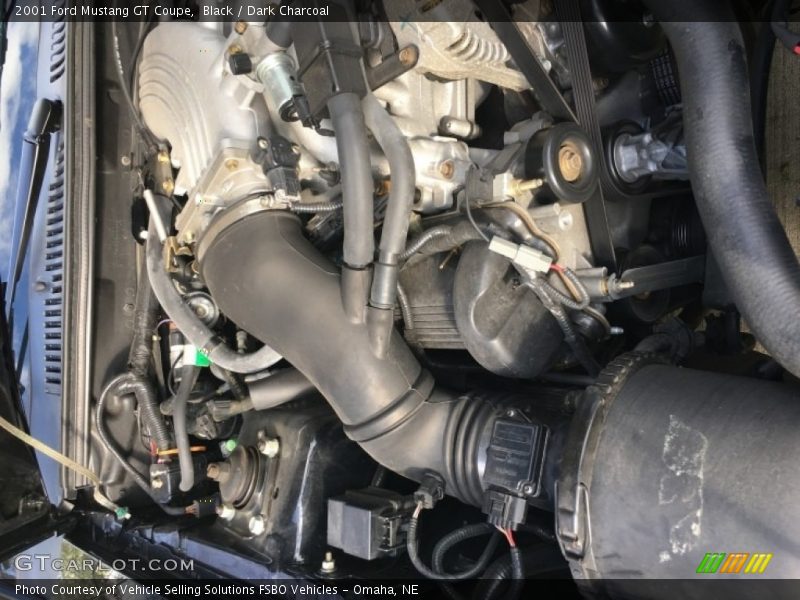Black / Dark Charcoal 2001 Ford Mustang GT Coupe