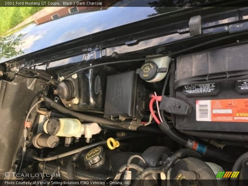 Black / Dark Charcoal 2001 Ford Mustang GT Coupe