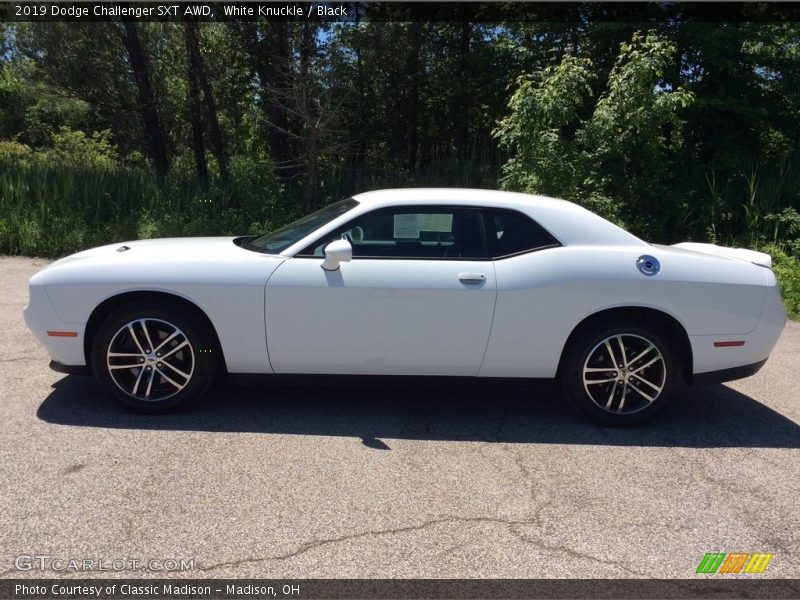 White Knuckle / Black 2019 Dodge Challenger SXT AWD