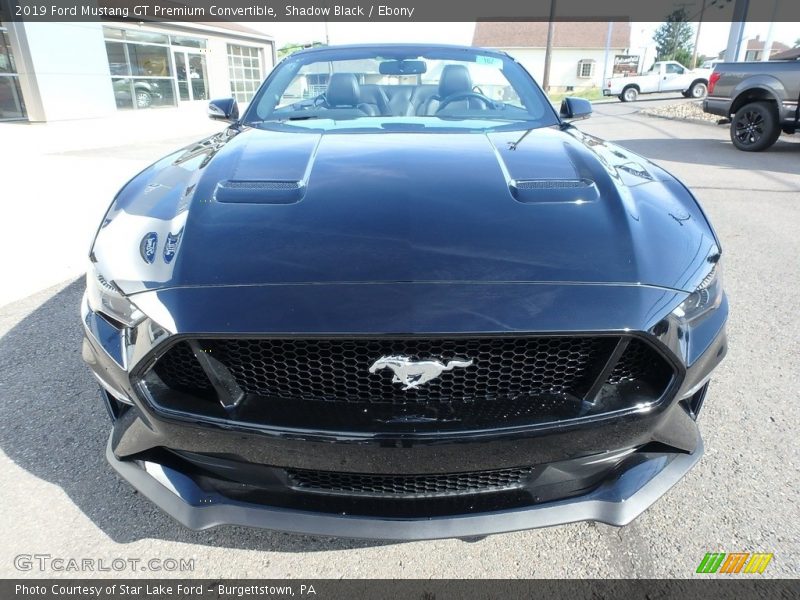 Shadow Black / Ebony 2019 Ford Mustang GT Premium Convertible
