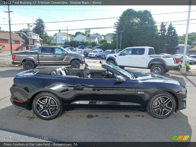 Shadow Black / Ebony 2019 Ford Mustang GT Premium Convertible